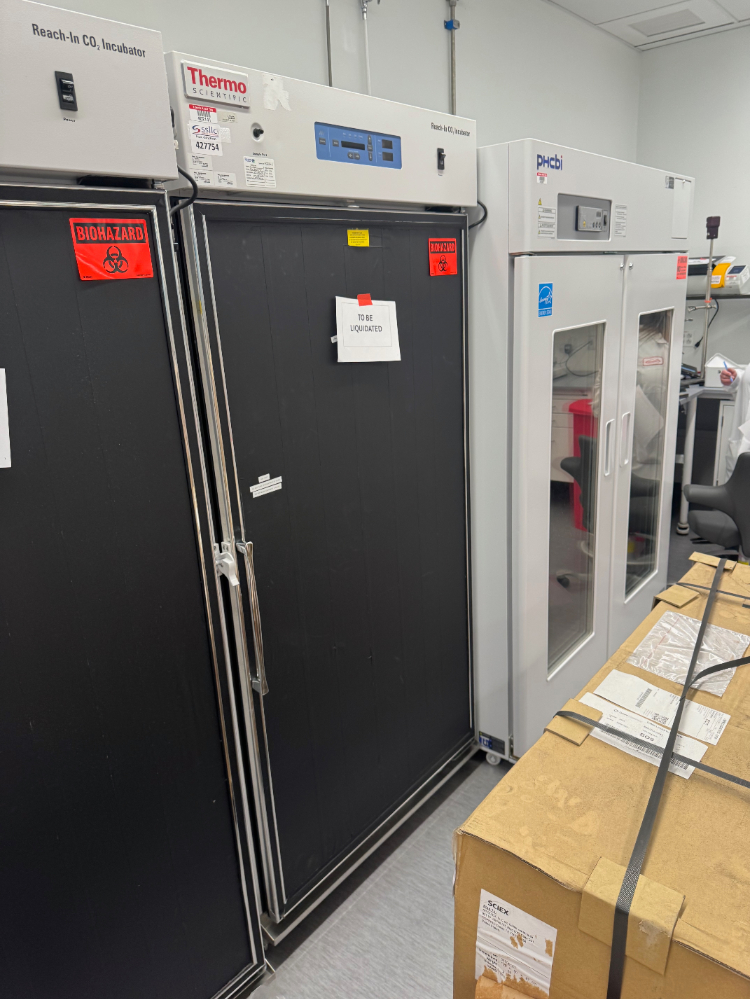 Image of Thermo Reach-In CO2 Incubator